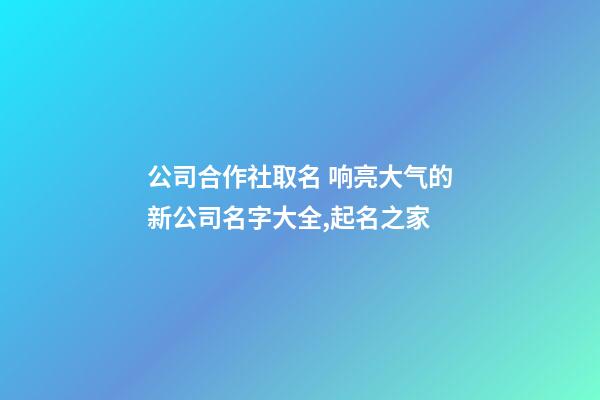 公司合作社取名 响亮大气的新公司名字大全,起名之家-第1张-公司起名-玄机派